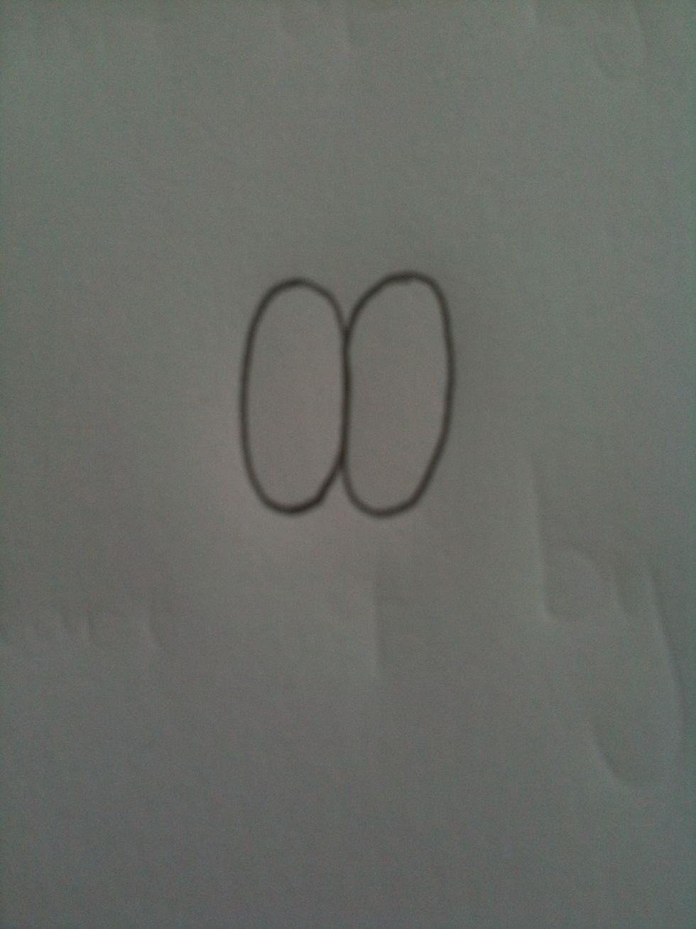 Draw the eyes an oval shape and make sure that they are together.