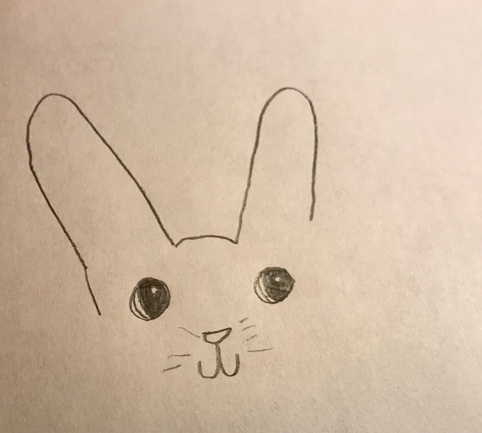 Draw the eyes, nose and whiskers