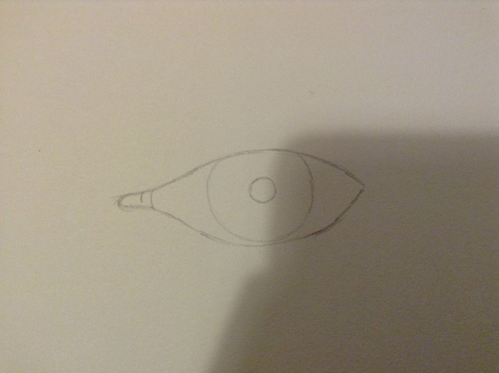 Draw the iris and pupil.