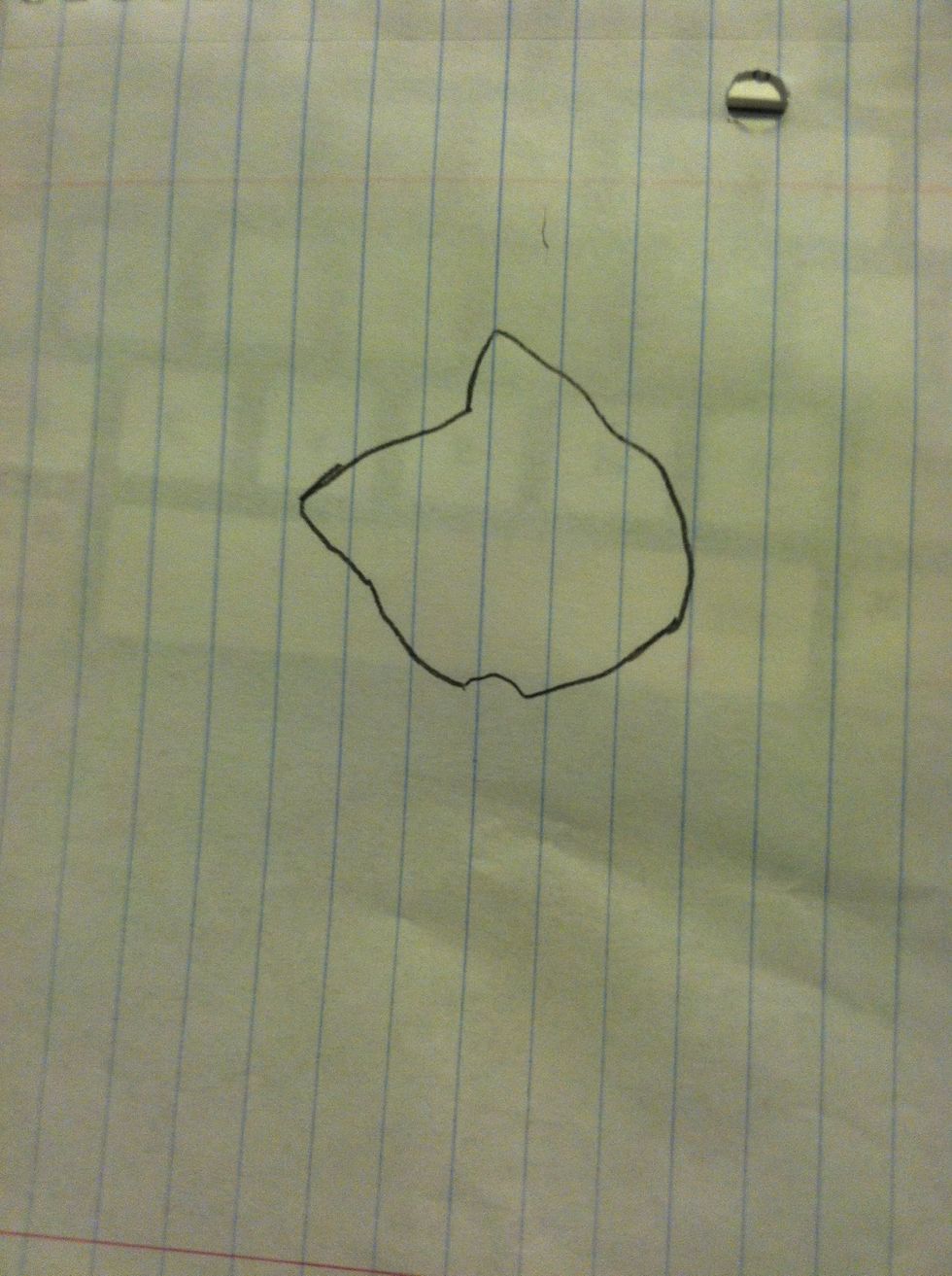 Draw the kittys head.