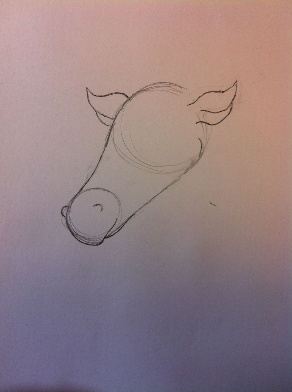 Draw the other ear like you did the other.