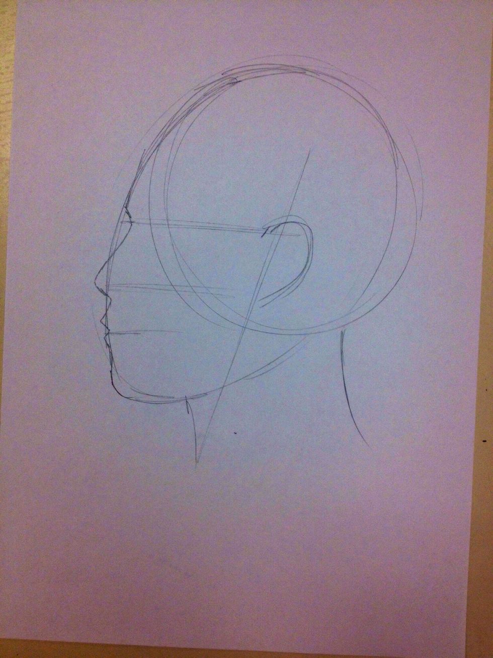 Draw the outline of the ear.
