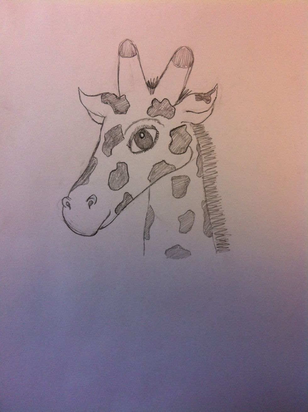 Draw the spots.