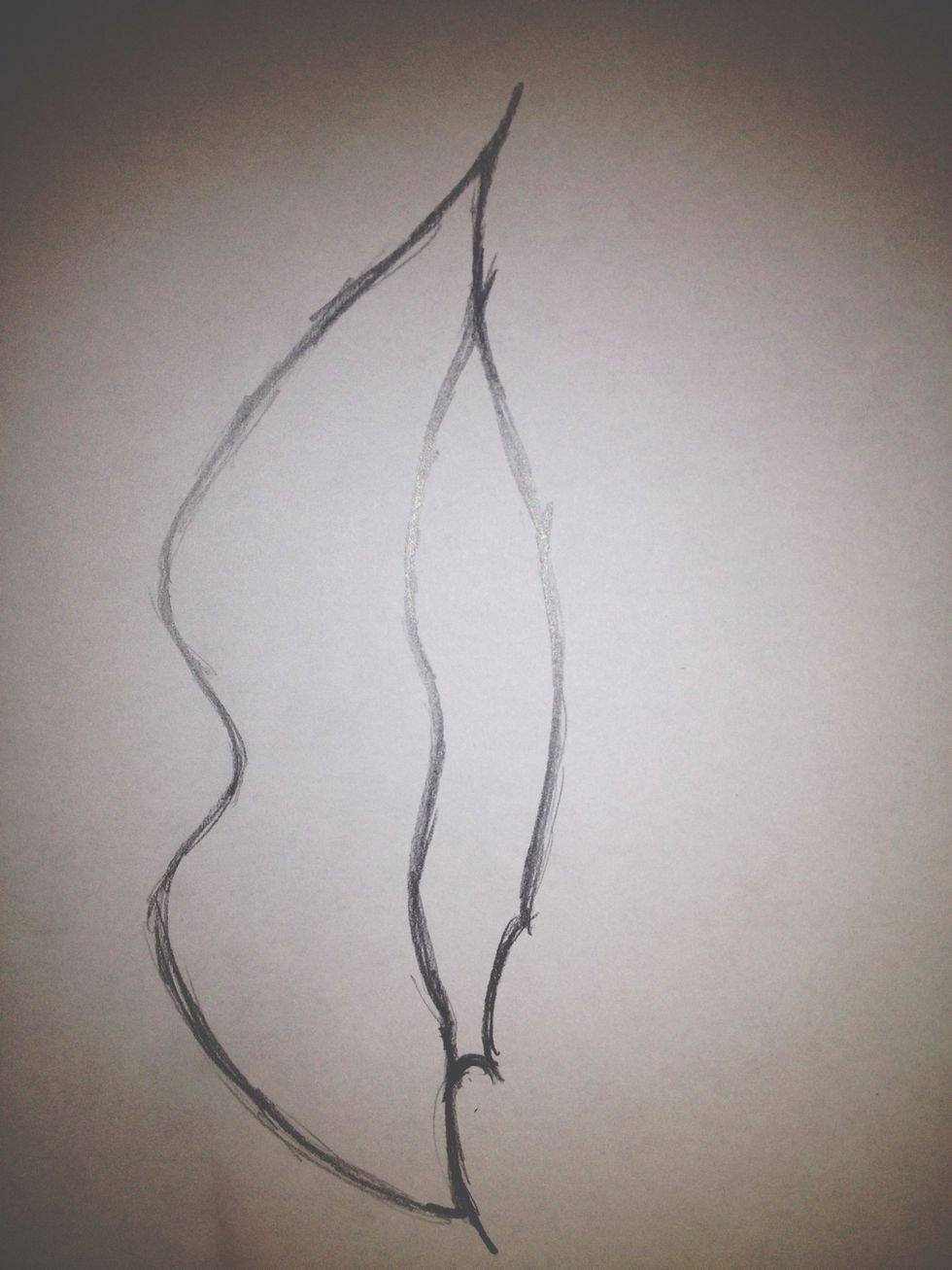 draw the top of the bottom lip. connect the bottom of the upper and the top of the bottom lip and extend the line a little.