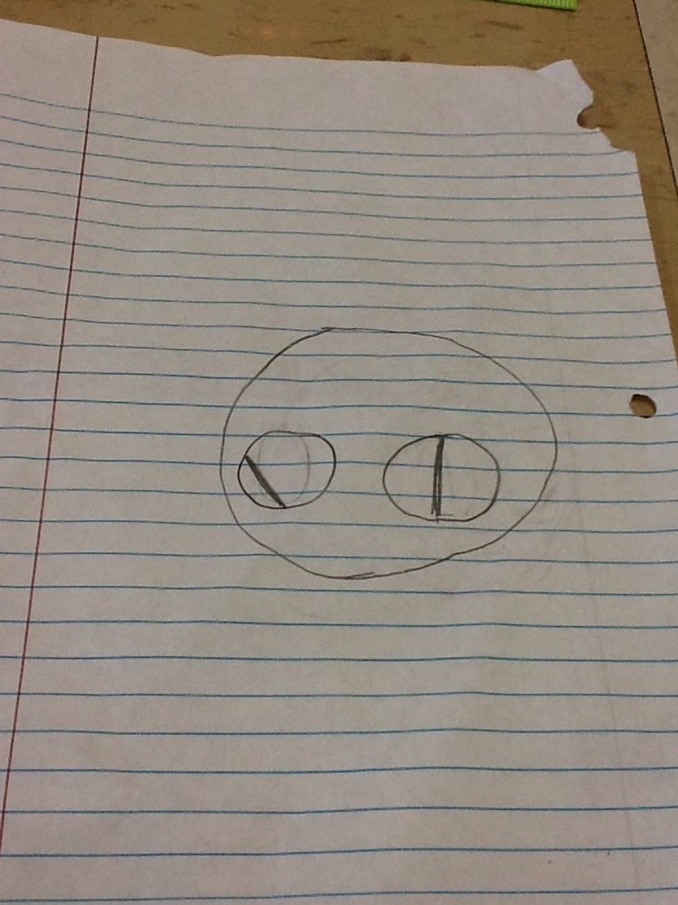 Draw two 1 inch Cat eyes side by side in the middle of the circle in the center.