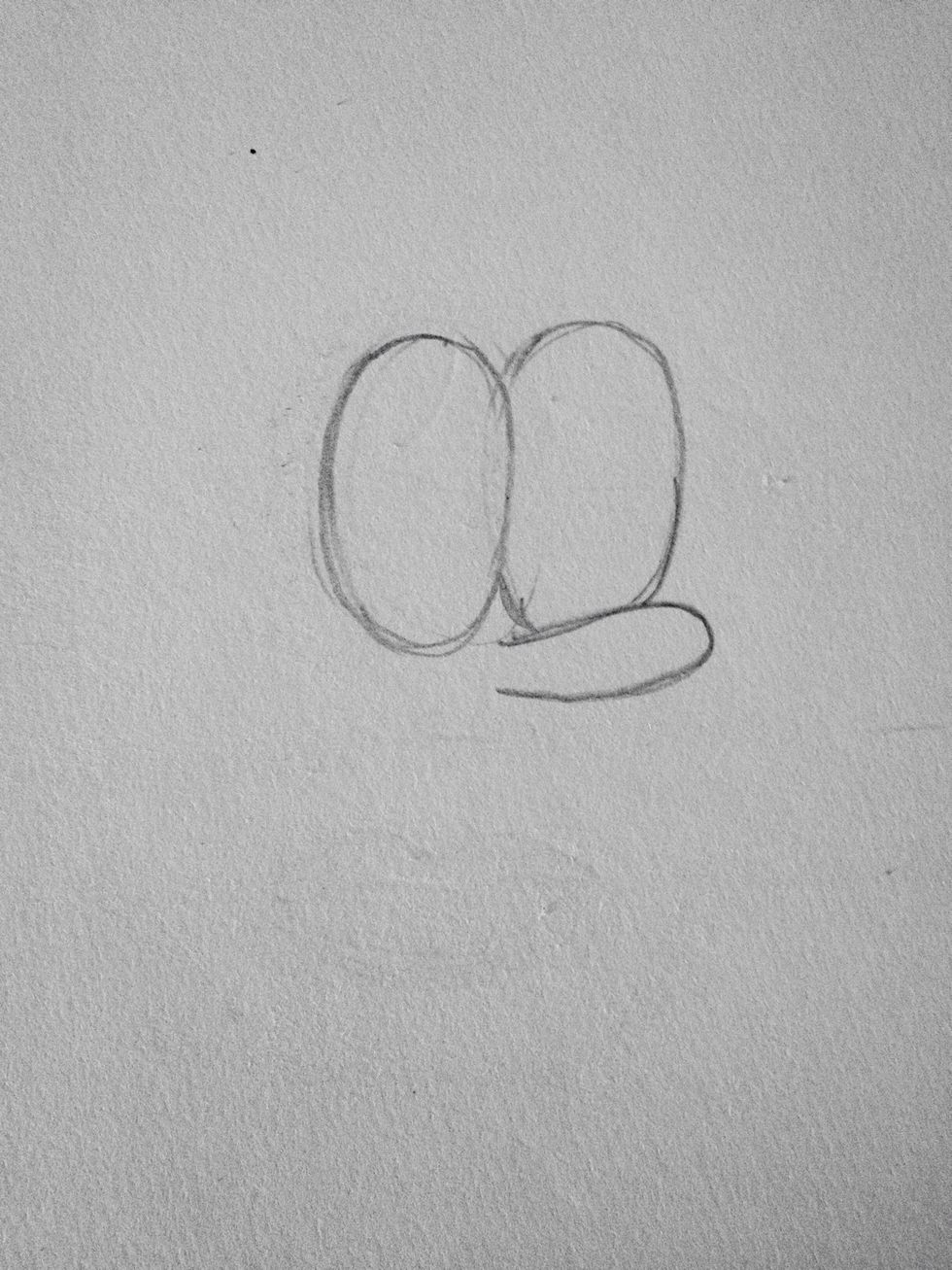 Draw two eyes, with the left one overlapping over the right and the nose should be in front of the eyes like this.