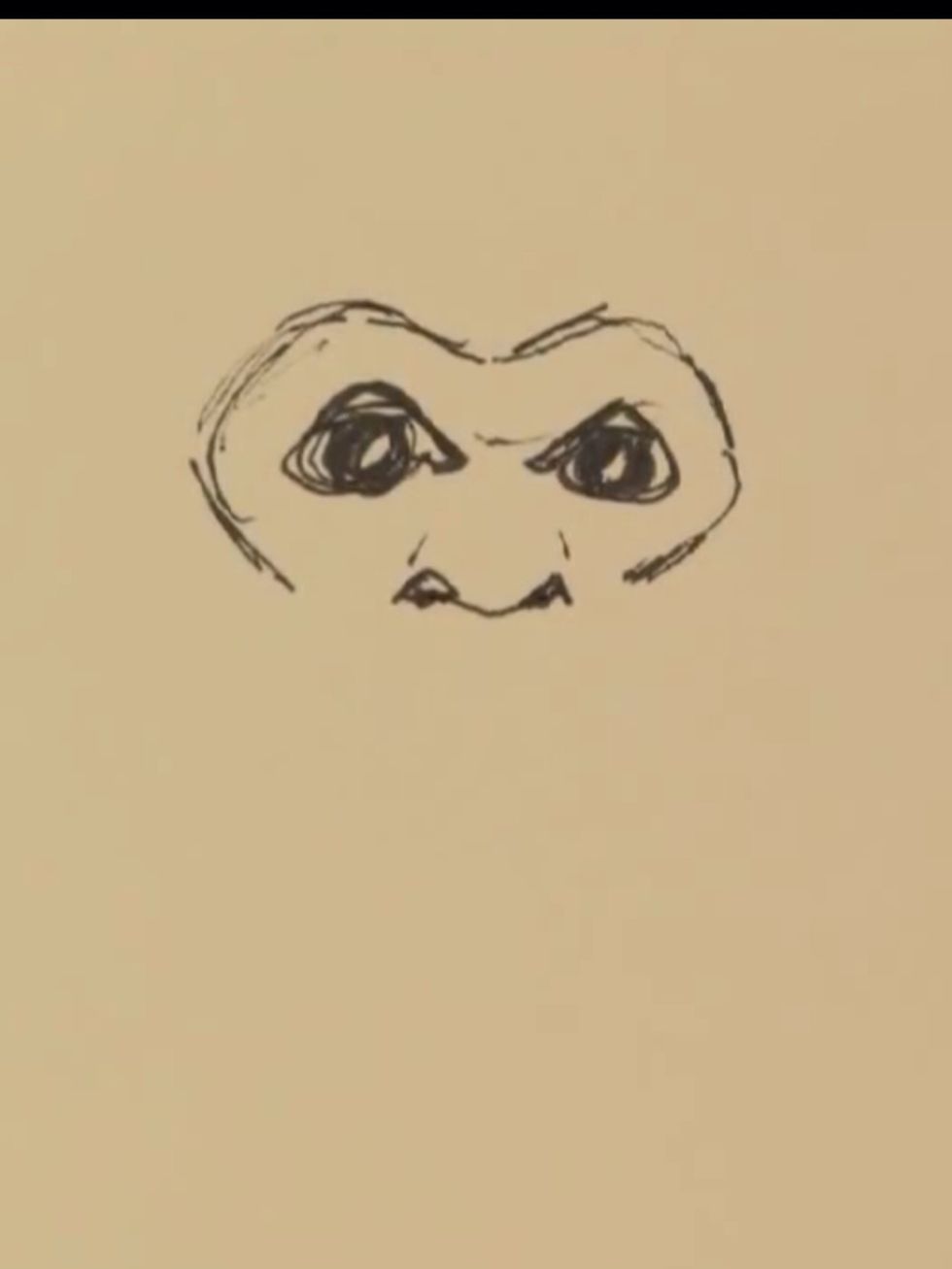 Draw two lines above the nose...