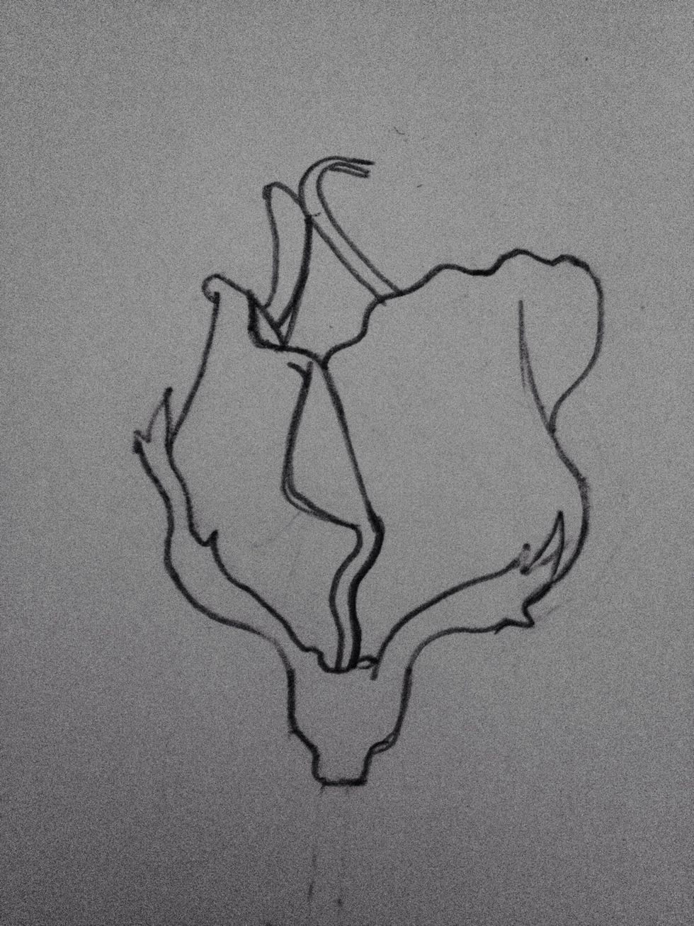 Draw two lines in a oval shape, and extend it towards the side of the left petal like this.