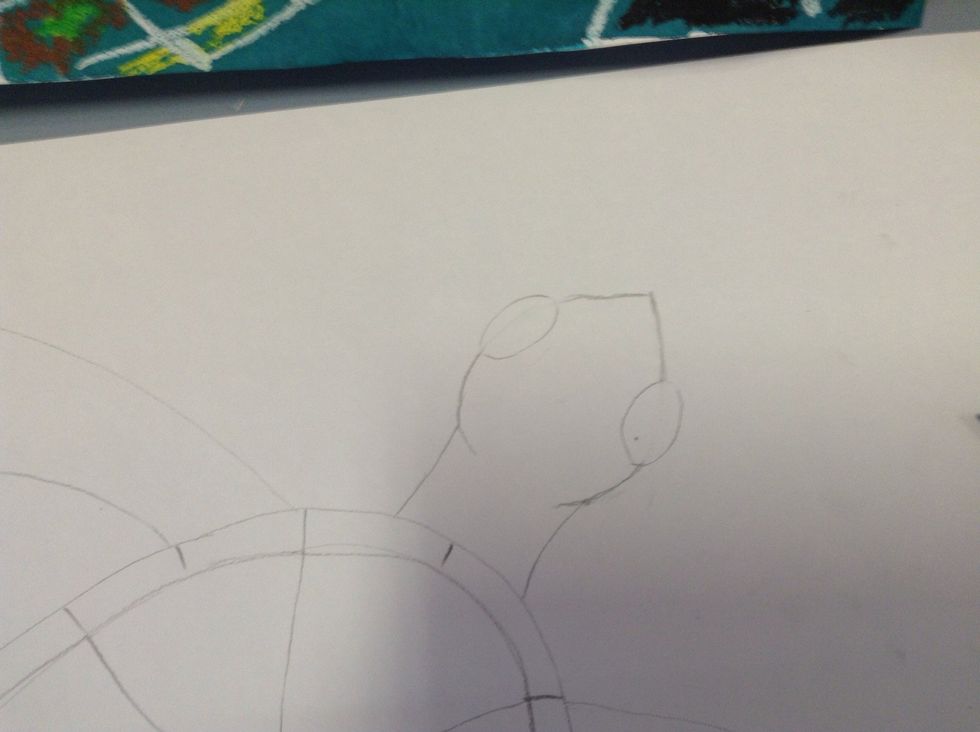 Draw two ovals on each side of the head. These are the turtles eyes.