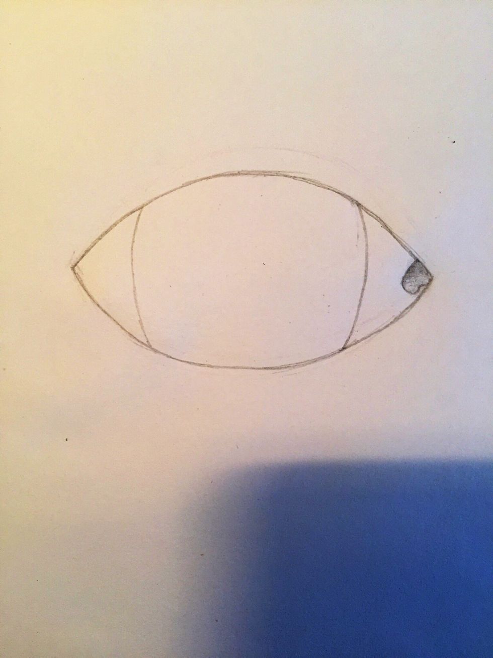 Draw two slightly curved lines for the outline of the iris.