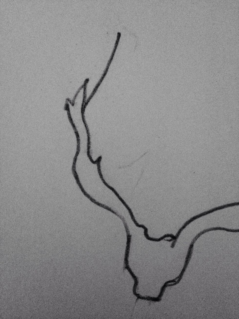 Draw up the first petal like this. Go in a little from the edge of the left bit like this. (Tap for full image)