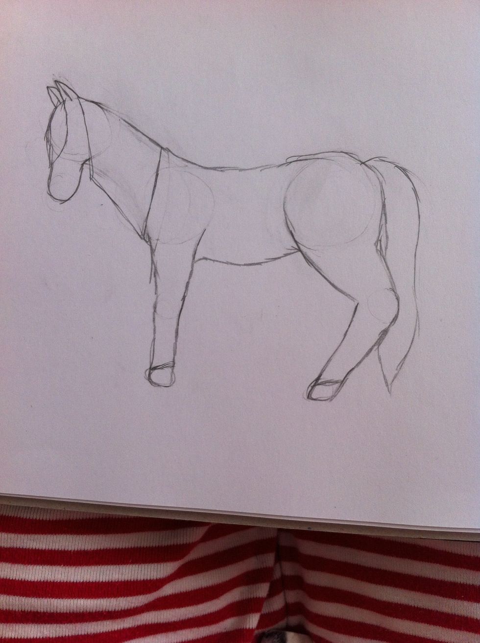 Draw where the mane an tail should be.