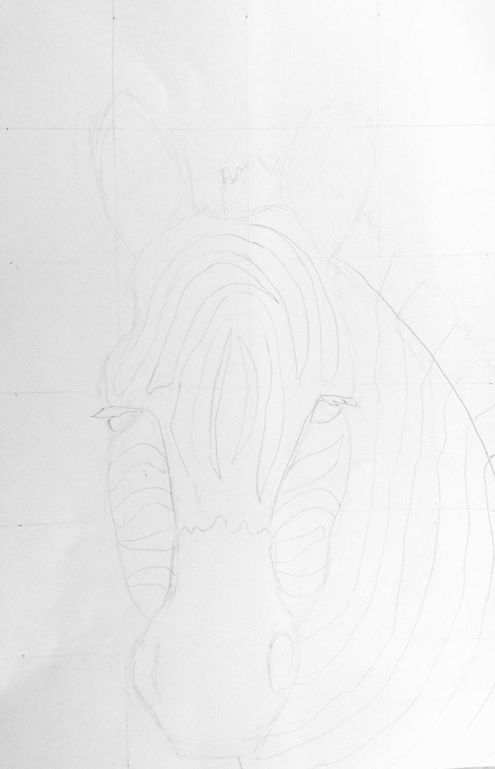 Draw your animal in the boxes to match the animal handout.