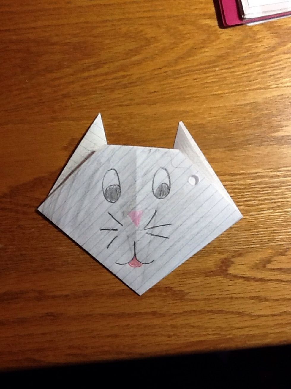 Draw your cat's face! Be creative!
