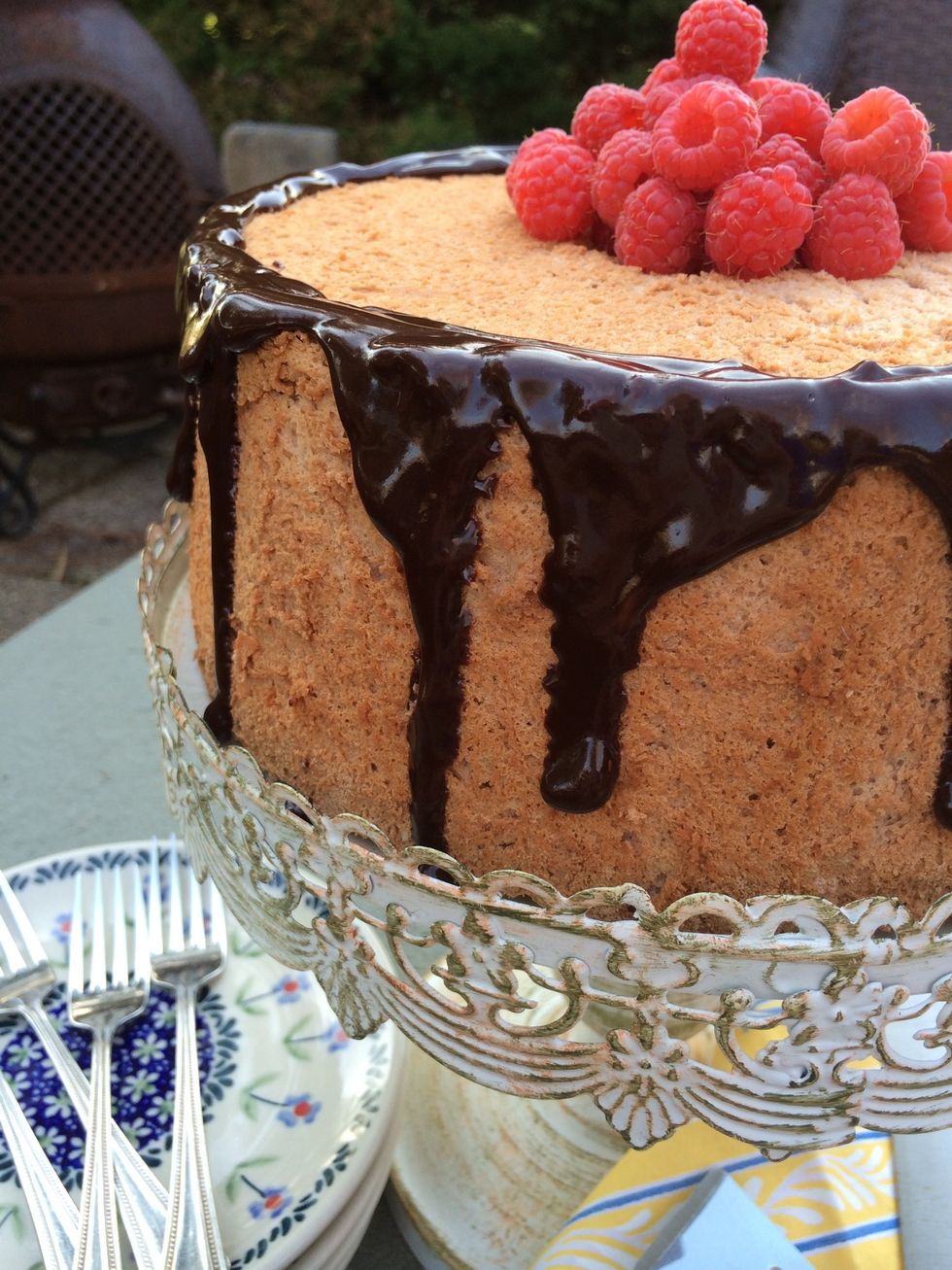 Dressed to impress with rich chocolate and red raspberries, invite the neighbors, they will love it!