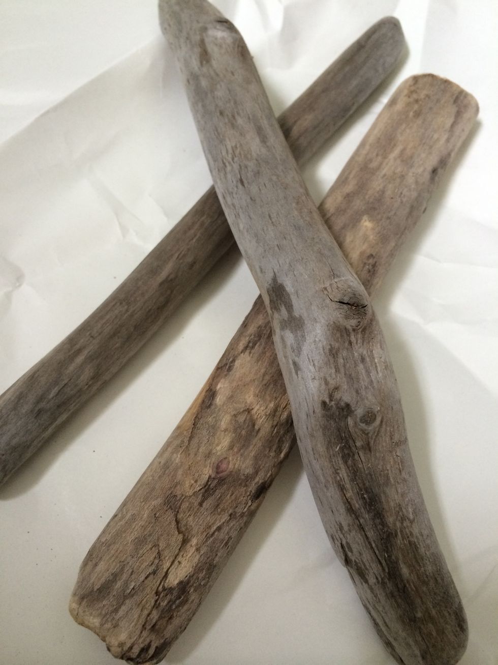 Driftwood I found by Lake Erie. You can also use twigs, tree bark or branches but make sure they are dried out and free of any bugs.
