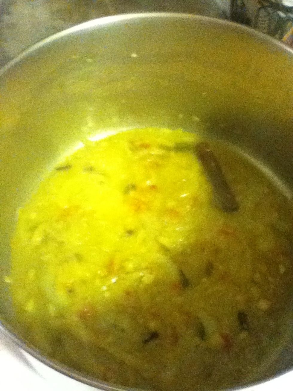 Drizzle in a little water, then the turmeric and salt. The water is just so you don't burn that spice like I always do. If you're better at Indian cooking than I am, you might not need the water!