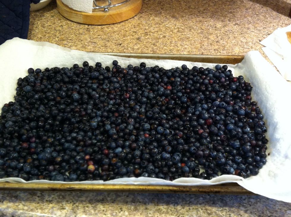 Dry berries, continuing to pick out debris