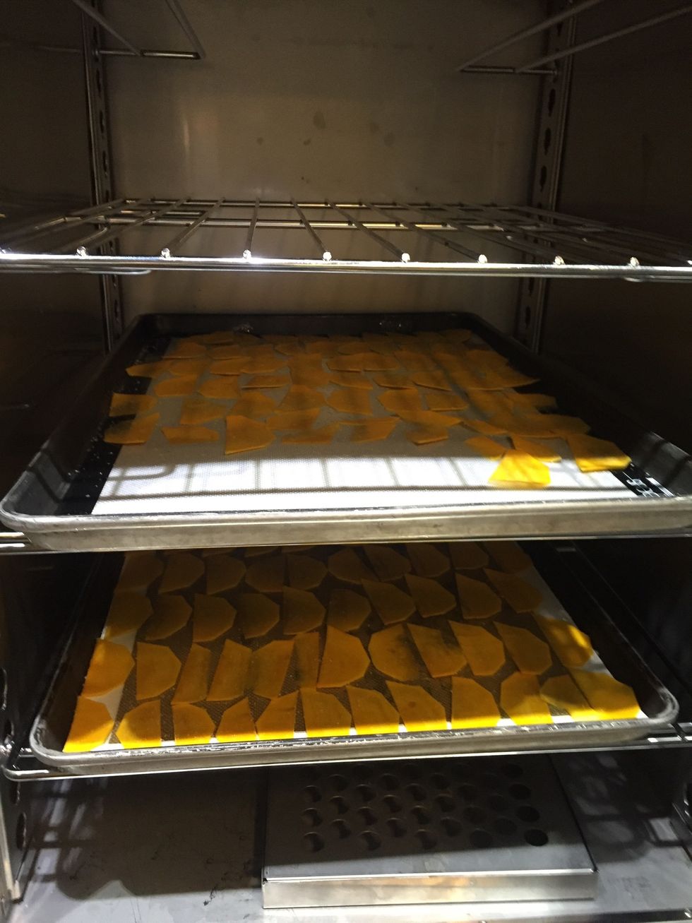 Dry overnight or 12 hours.