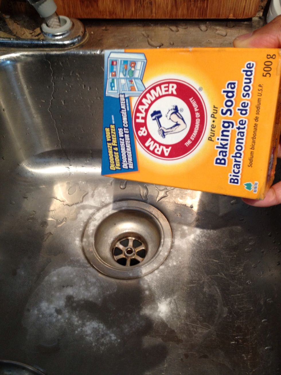Dump 1/4 box of baking soda (not baking powder) down the drain first.