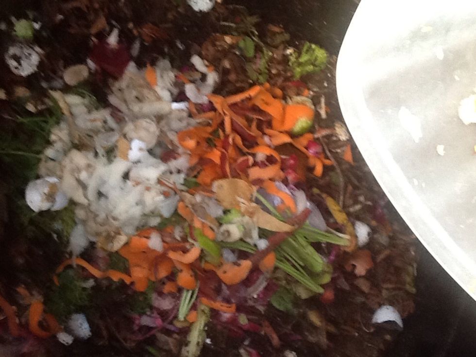 Dump your fresh waste in and it quickly begins to rot into a great soil.