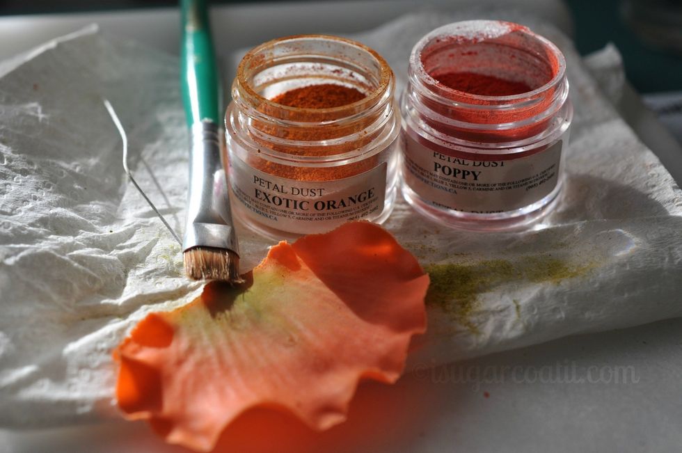 Dust the upper two-thirds and edges of the petals with a mix of the exotic orange and poppy dusts.