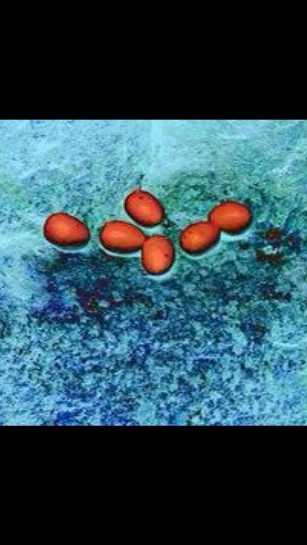 Editing a picture is hard to guide a photographer on. It really just comes to trusting your gut when editing and trying out new things.