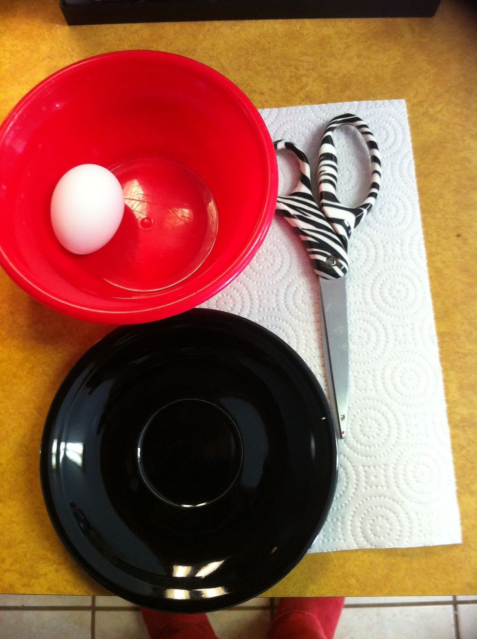 Egg white cleanser , and egg yolk moisturizer