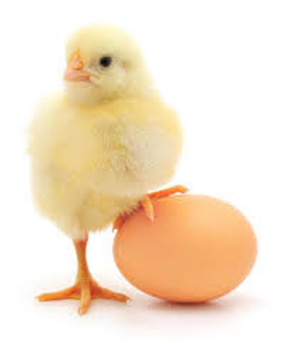 EGGS=HOW MANY PEICES OF TOAST YOU WANT ,AFTER YOU FIGURE THAT OUT PUT THE EGGS IN THE BOWL AND INSERT SALT AND PEPPER THEN STIR.