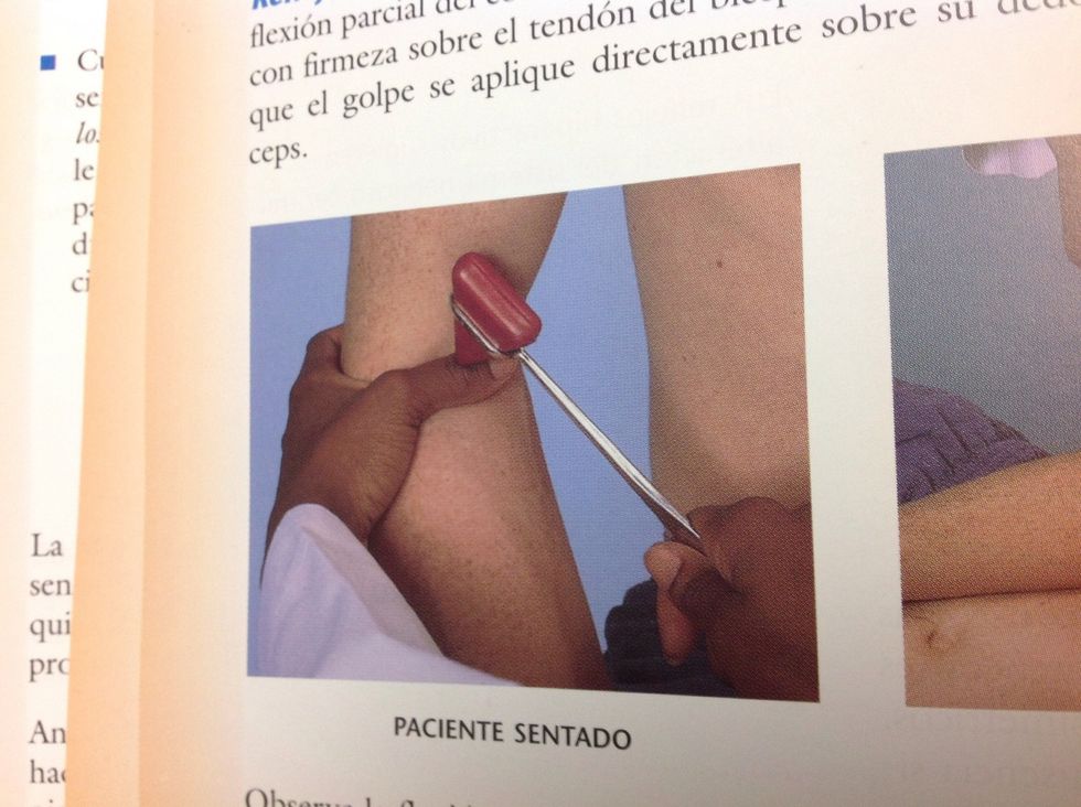 El reflejo del b\u00edceps sirve para ver que los segmentos c5 y c6 est\u00e9n \u00edntegros. Se debe golpear en el tend\u00f3n del b\u00edceps.
