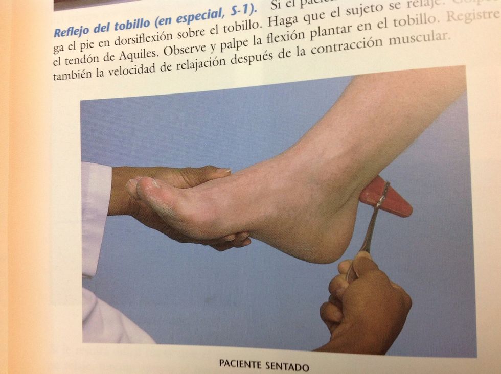 El reflejo del tobillos nos sirve para comprobar que s1 est\u00e9 bien. Con el paciente sentado se debe golpear el tend\u00f3n de Aquiles y debe haber flexi\u00f3n plantar.