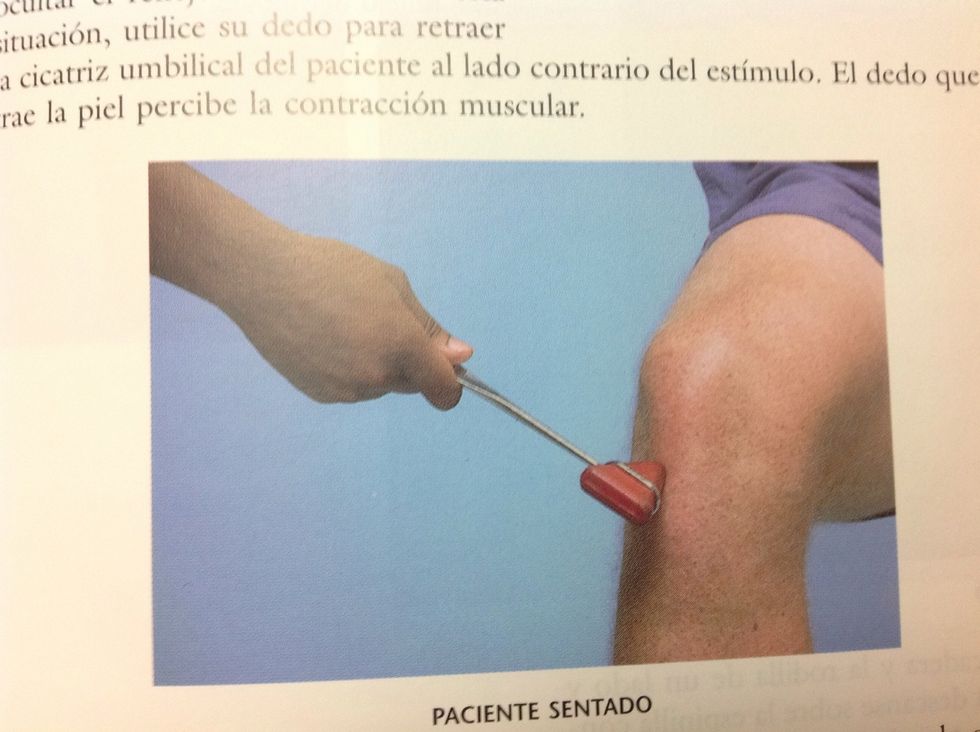 El reflejo rotuliano nos ayuda para ver que l2,l3 y l4 est\u00e9n intactos. Con el paciente sentado se debe golpear el tend\u00f3n rotuliano y debe haber una contracci\u00f3n del cuadriceps.