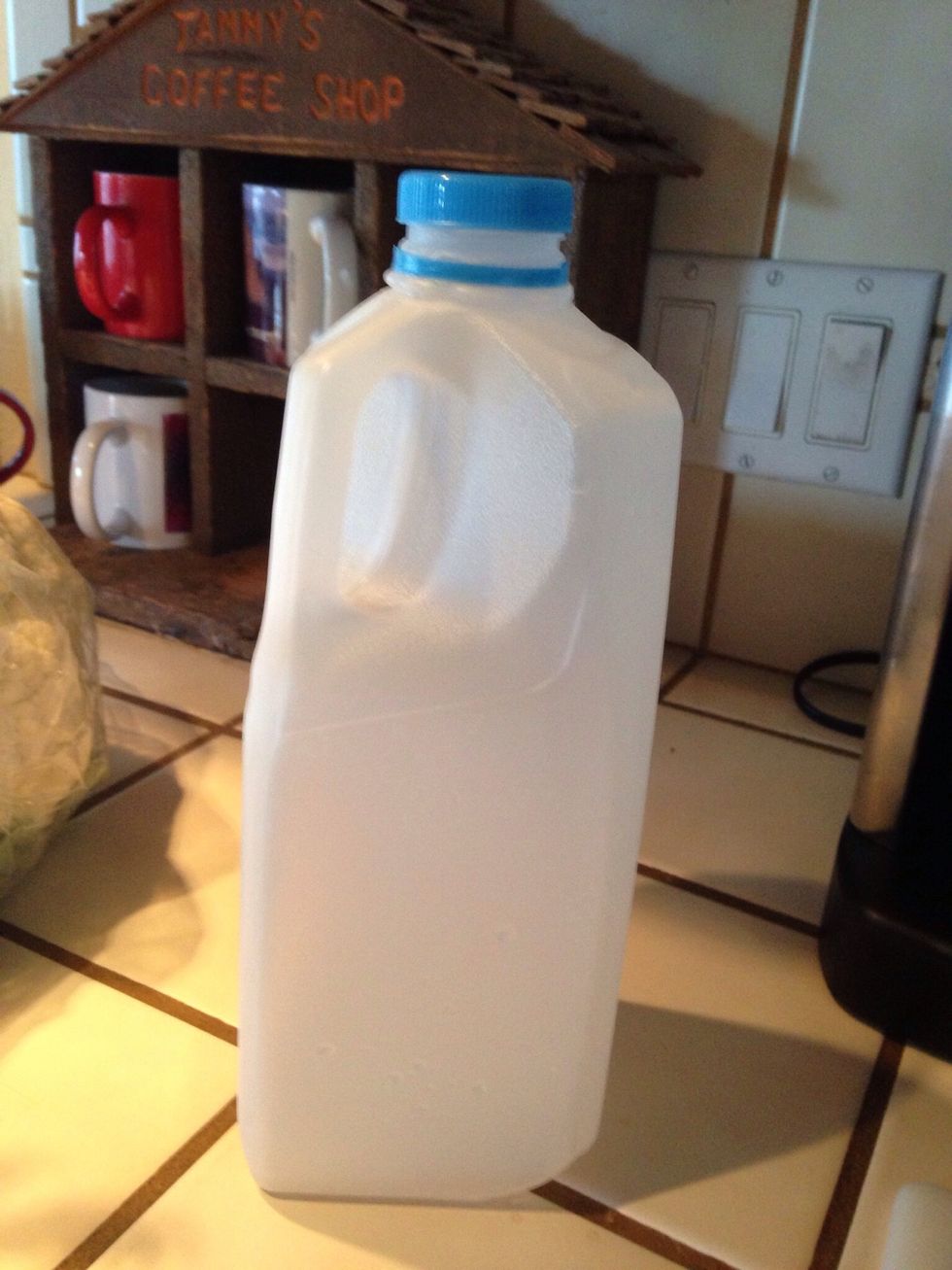 Empty and rinse out plastic jug. (A jug with a handle makes it easy for the little ones to hold when filled with water)