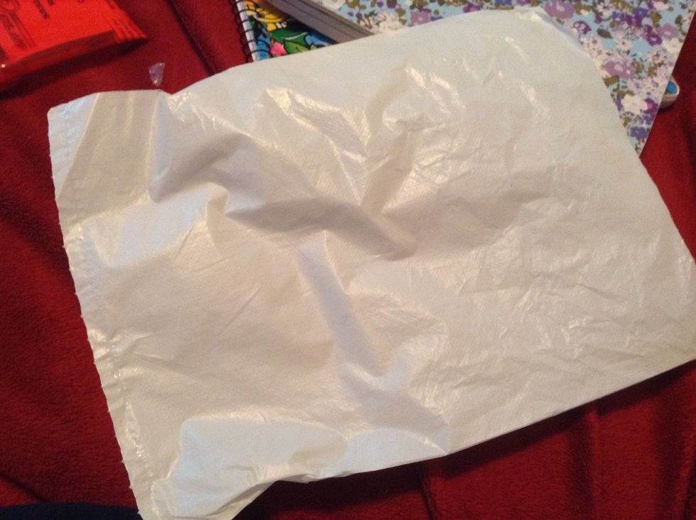 Empty bag. Goes with bags.