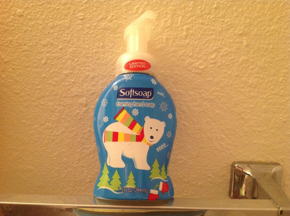 Empty foaming soap bottle(I used this one)