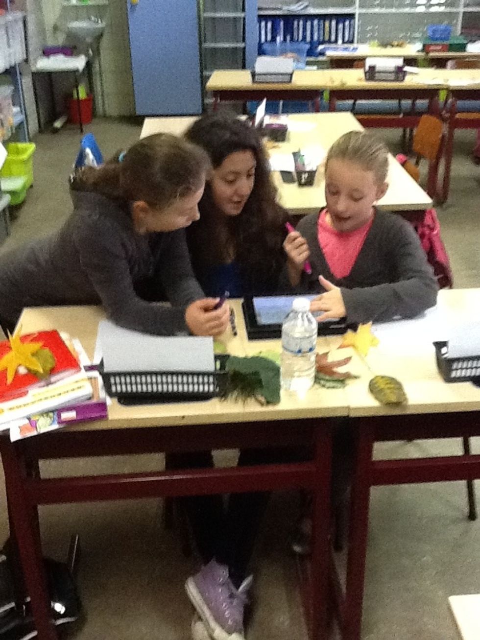 En zo leren we van elkaar