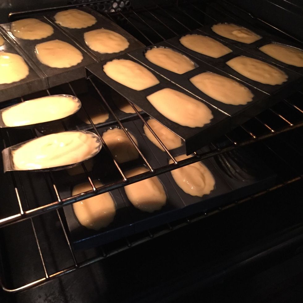 Enfourner les madeleines 5 \u00e0 10 minutes.