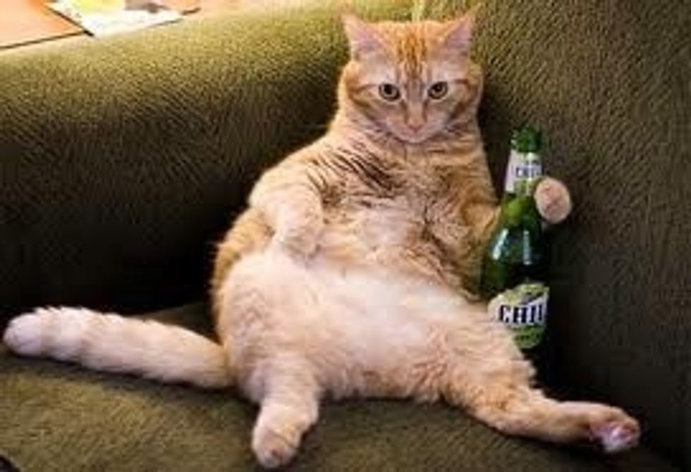 ENJOY!!!! And please drink responsibly. Like Comment and Follow! Thanks!