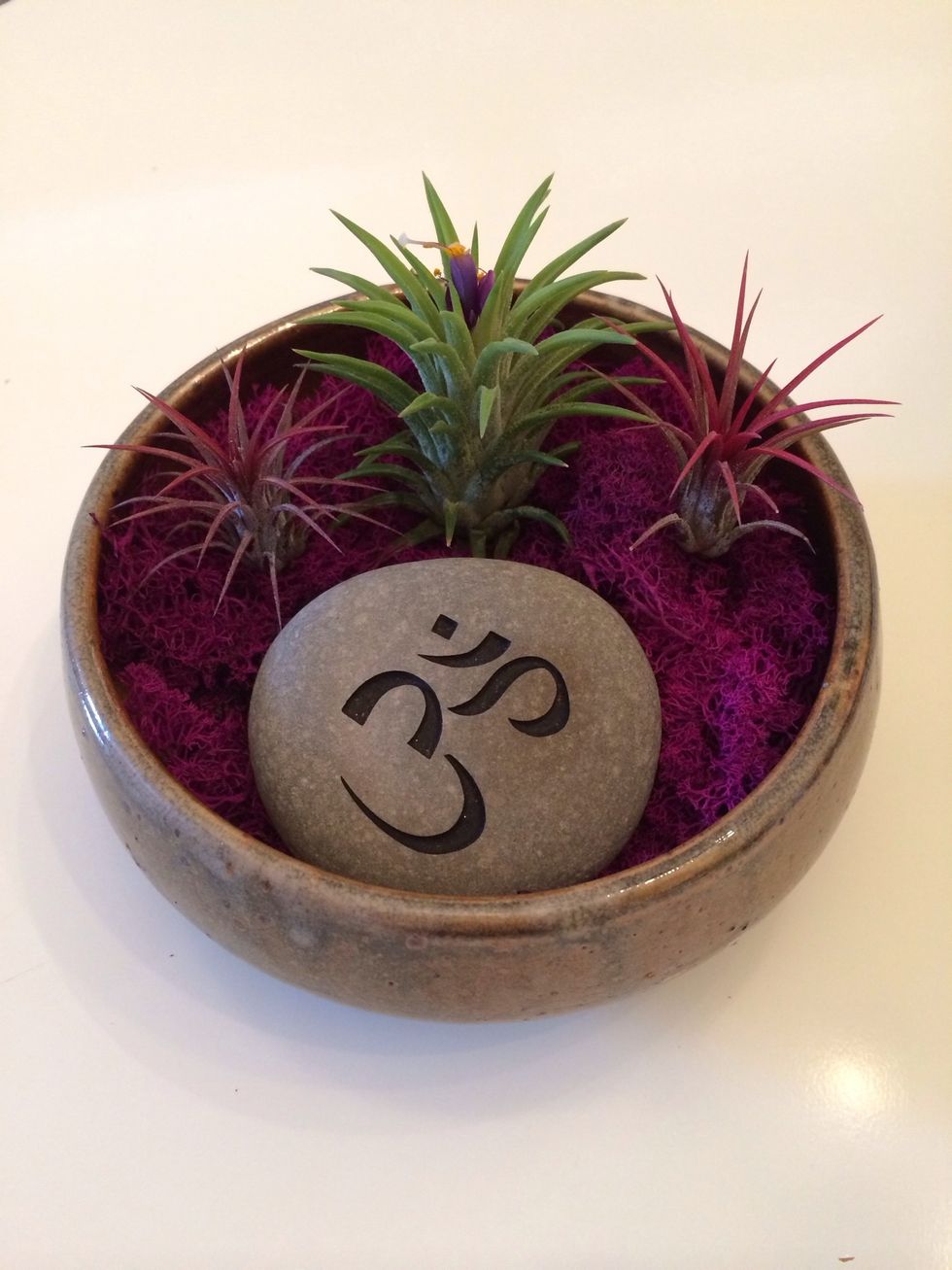 Enjoy! Make sure you place it in an area where the plants will get light (can be artificial light.) I put my garden on a shelf in my office. Lightly spray plants & rest upside down to dry, weekly.