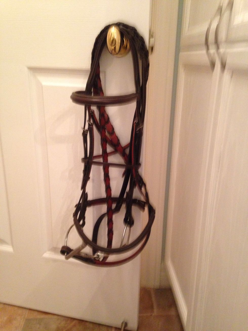 Enjoy your clean, soft bridle!