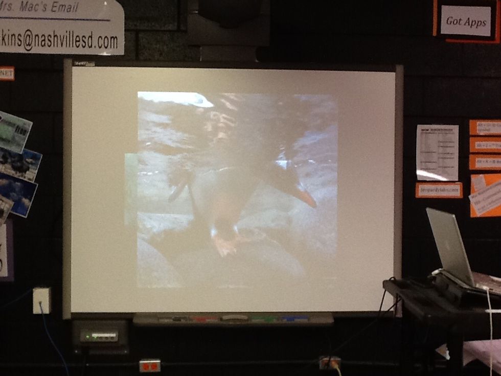 Enjoy your new found knowledge!