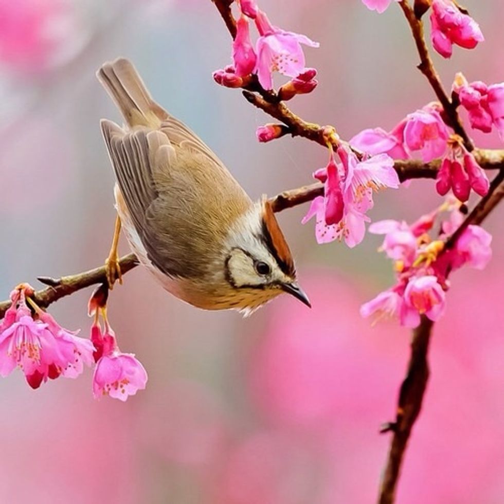 Enjoying the little things in life is more than just smelling the flowers, it's about enjoying every moment in your life and living it to it's fullest.