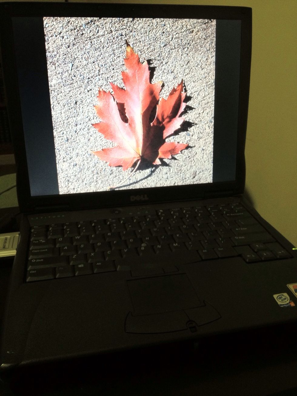 Ensure laptop is in good operating condition. I used Win 7 you can also use Win XP. Remove all unneeded software. Install Picasa, Autoshutdown Pro & Dropbox. Create a Folder shared on local network.