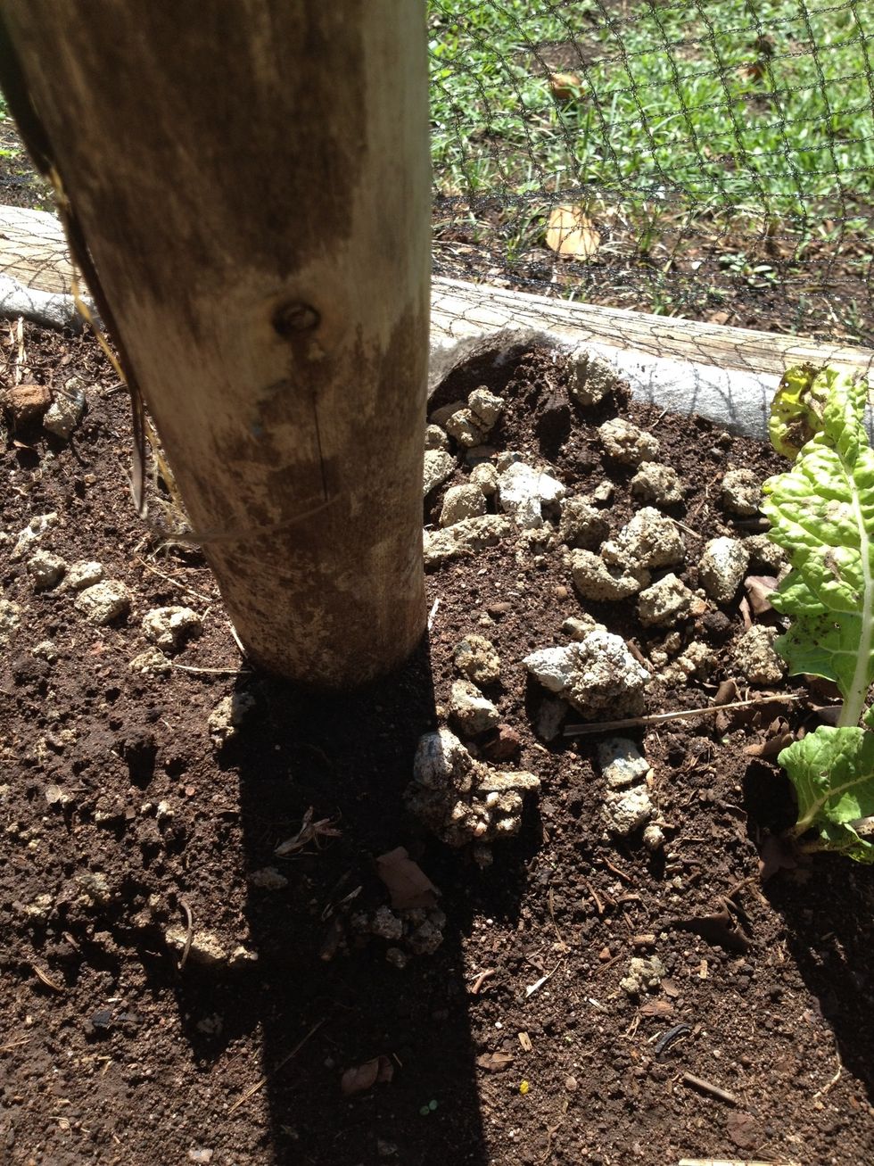 Ensure the poles are compacted into their holes approximately 600mm deep with the cement