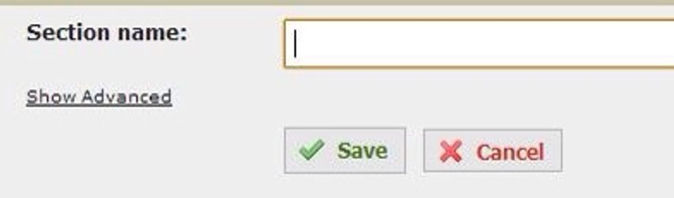 Enter a name for your new section.