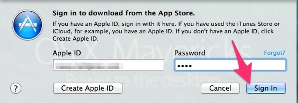 Enter your Apple ID and password.