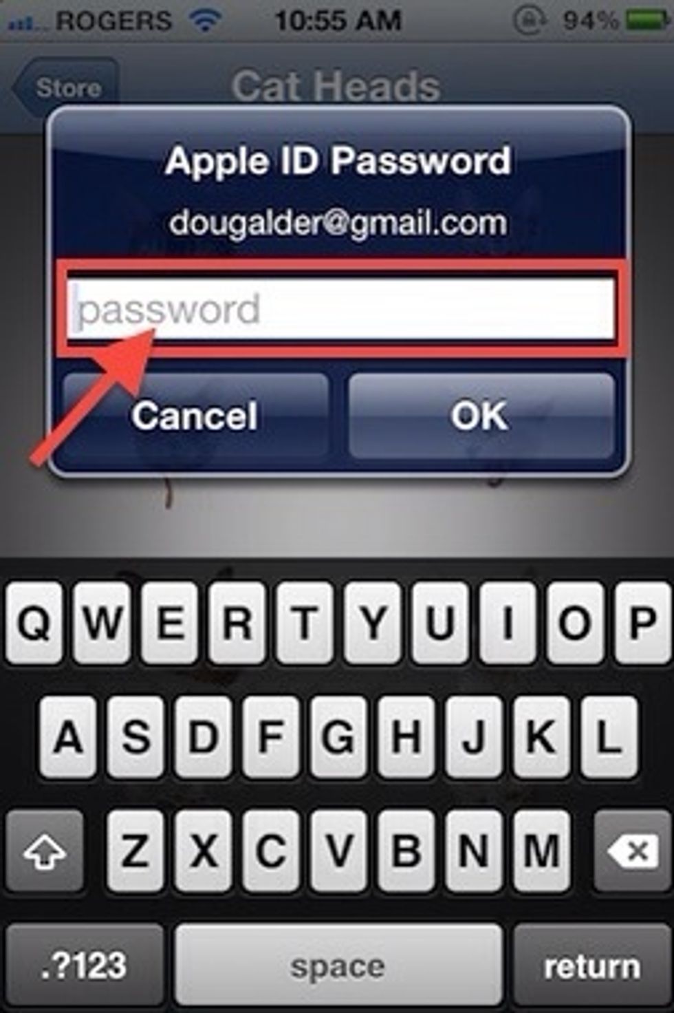 Enter your password.