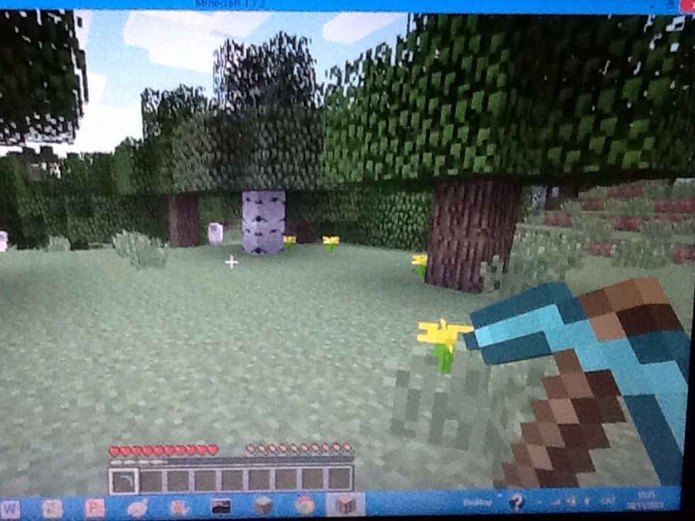 Entra al minecraft, despr\u00e9s v\u00e9s a un bosc qualsevol.