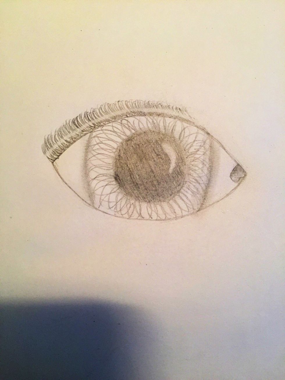 Erase a line on the eyelashes, following the curve of them. This gives the appearance of light shining on the eyelashes.