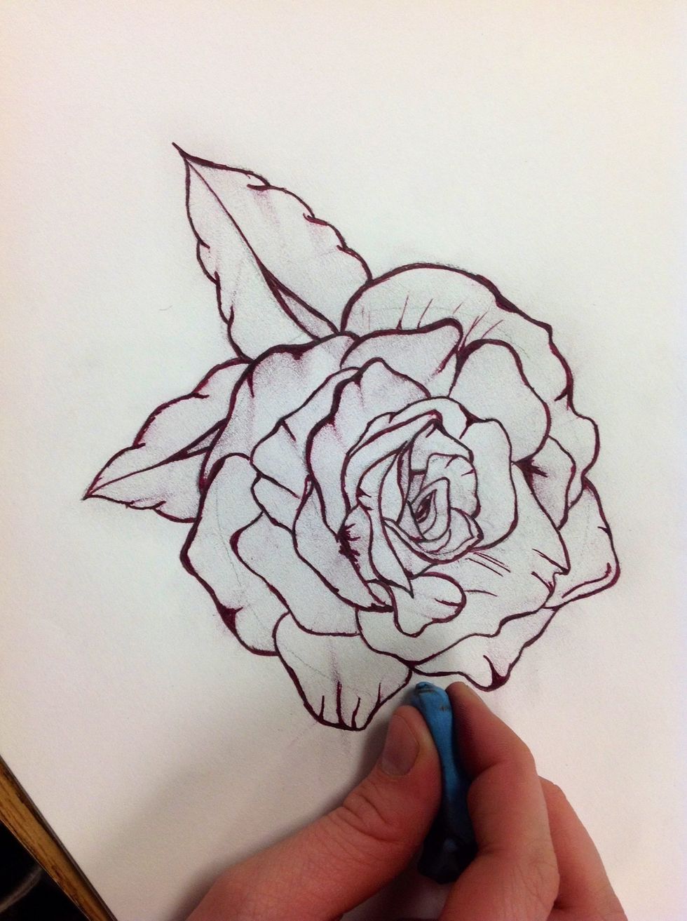 Erase all outlying pencil lines, also any still visible inside the rose. (At your preference)
